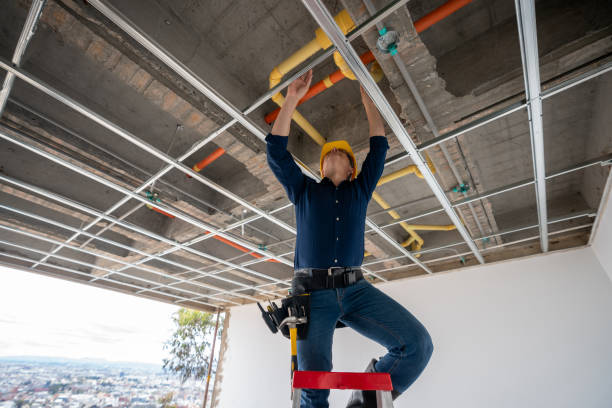 Best Local Plumber Services  in Troy, IL